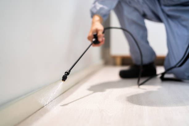 Licensed Cockroach Control service in La Harpe, IL - Nex Pest Control