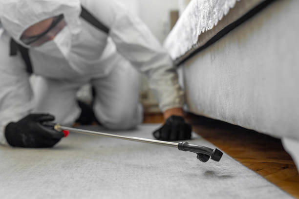 Professional Cockroach Control technician working in La Harpe, IL