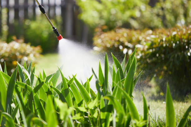 24/7 Emergency Cockroach Control experts in La Harpe, IL