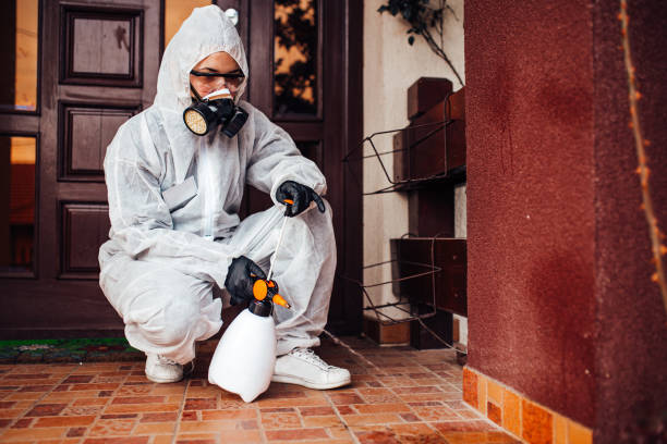 Reliable Cockroach Control contractor in La Harpe, IL by Nex Pest Control